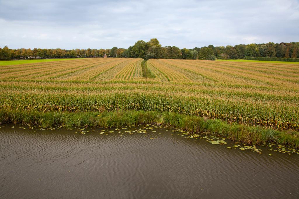 Het Wapen Van Harmelen Pokoj fotografie