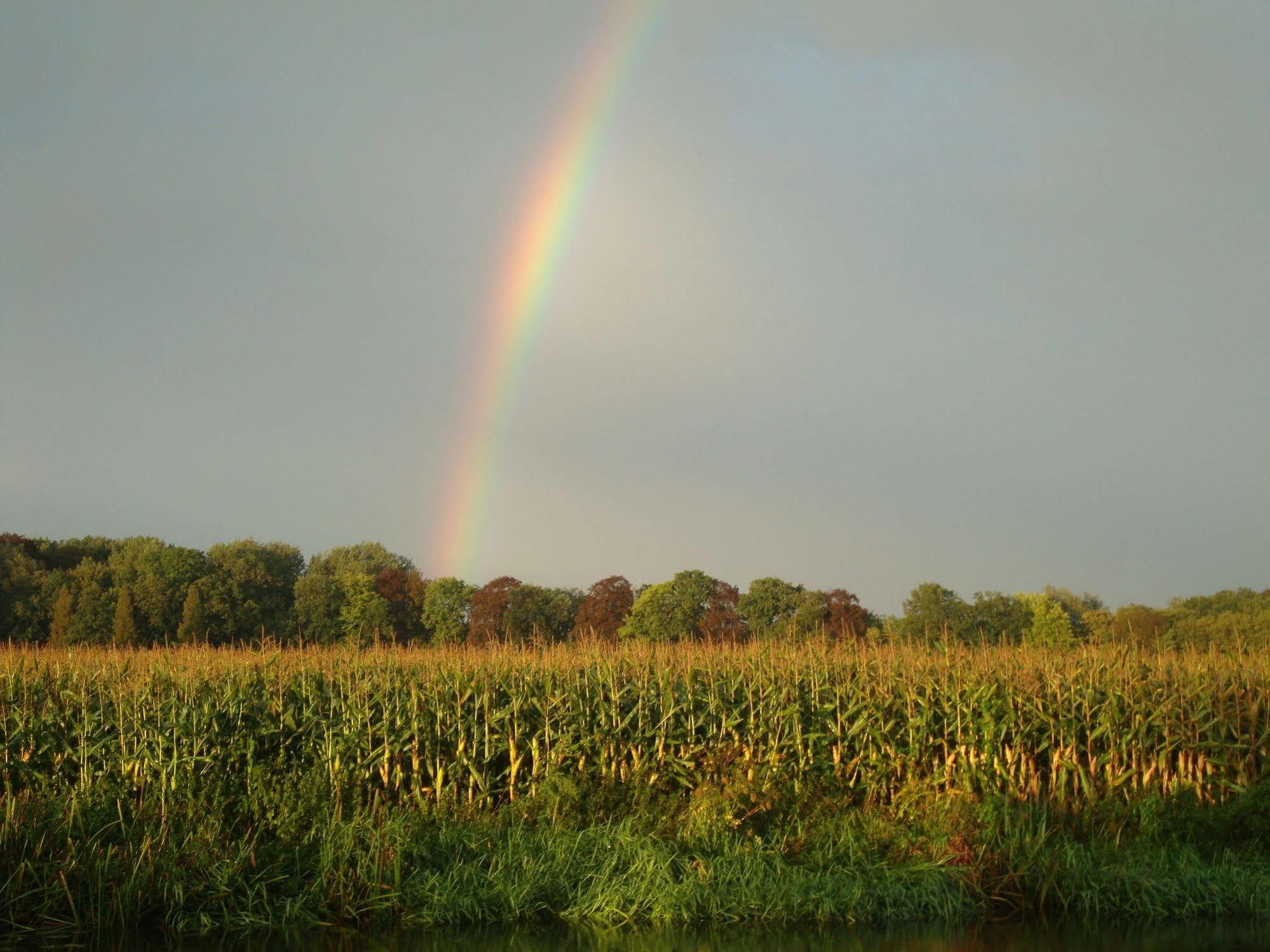 Het Wapen Van Harmelen Exteriér fotografie